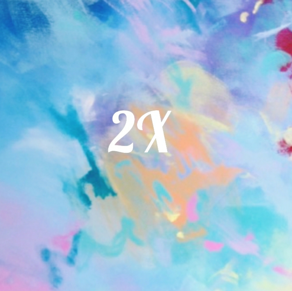 Womens Plus Size 2X